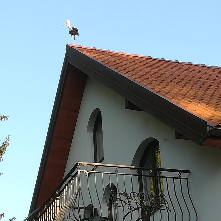نوي غوتي Gosciniec Twoje Mazury Nad Jeziorem Sniardwy Tuz Obok Plazy المظهر الخارجي الصورة